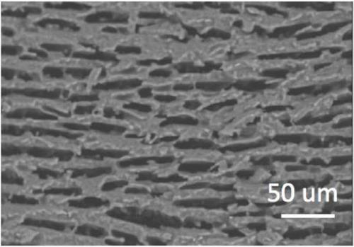 Preparation method of porous resin fiber with orientation hole structure, product and application