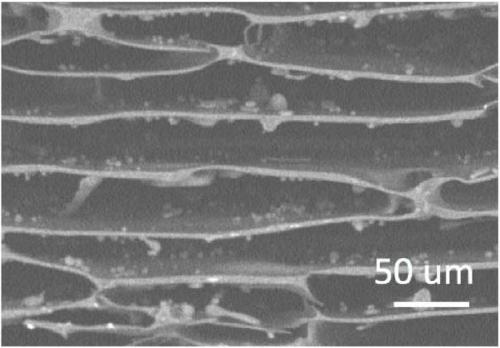 Preparation method of porous resin fiber with orientation hole structure, product and application