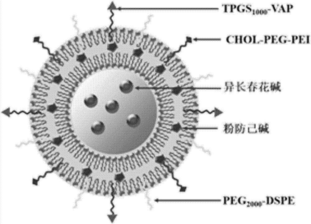 Multifunctional targeting vinorebine lipidosome and preparation method thereof