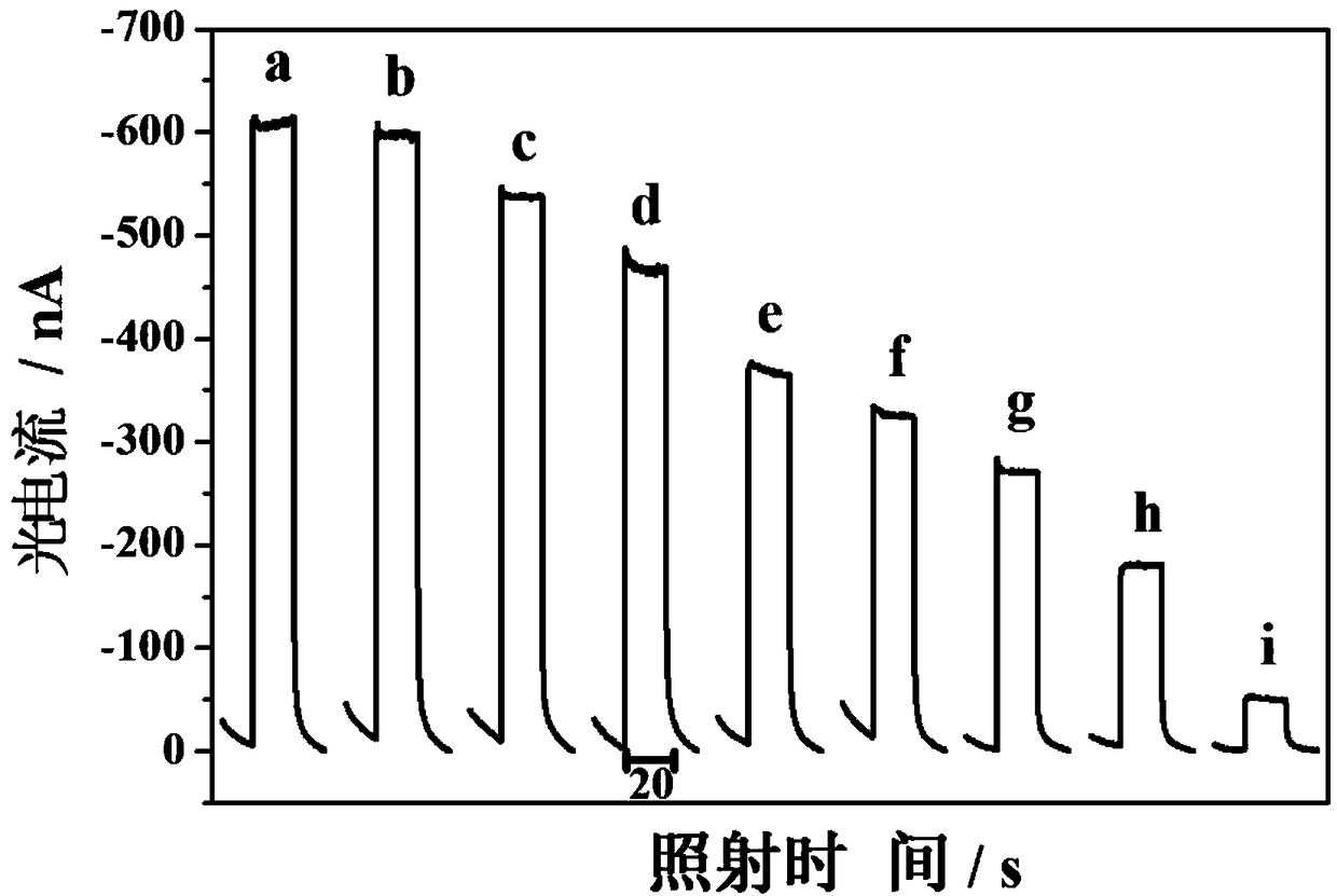 Photoelectrochemical adaptor sensor as well as preparation method and application thereof