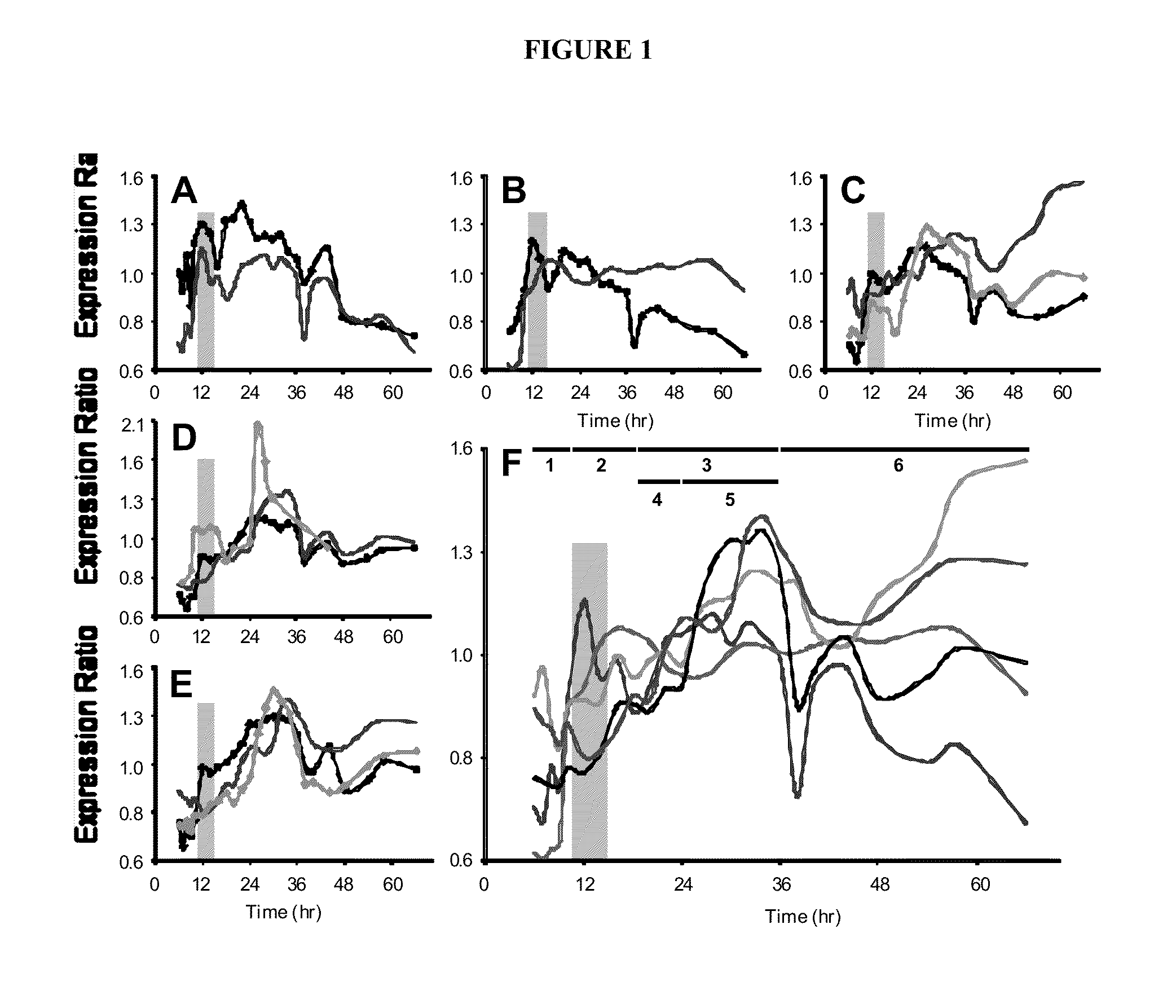 Methods and compositions for generating sporulation deficient bacteria