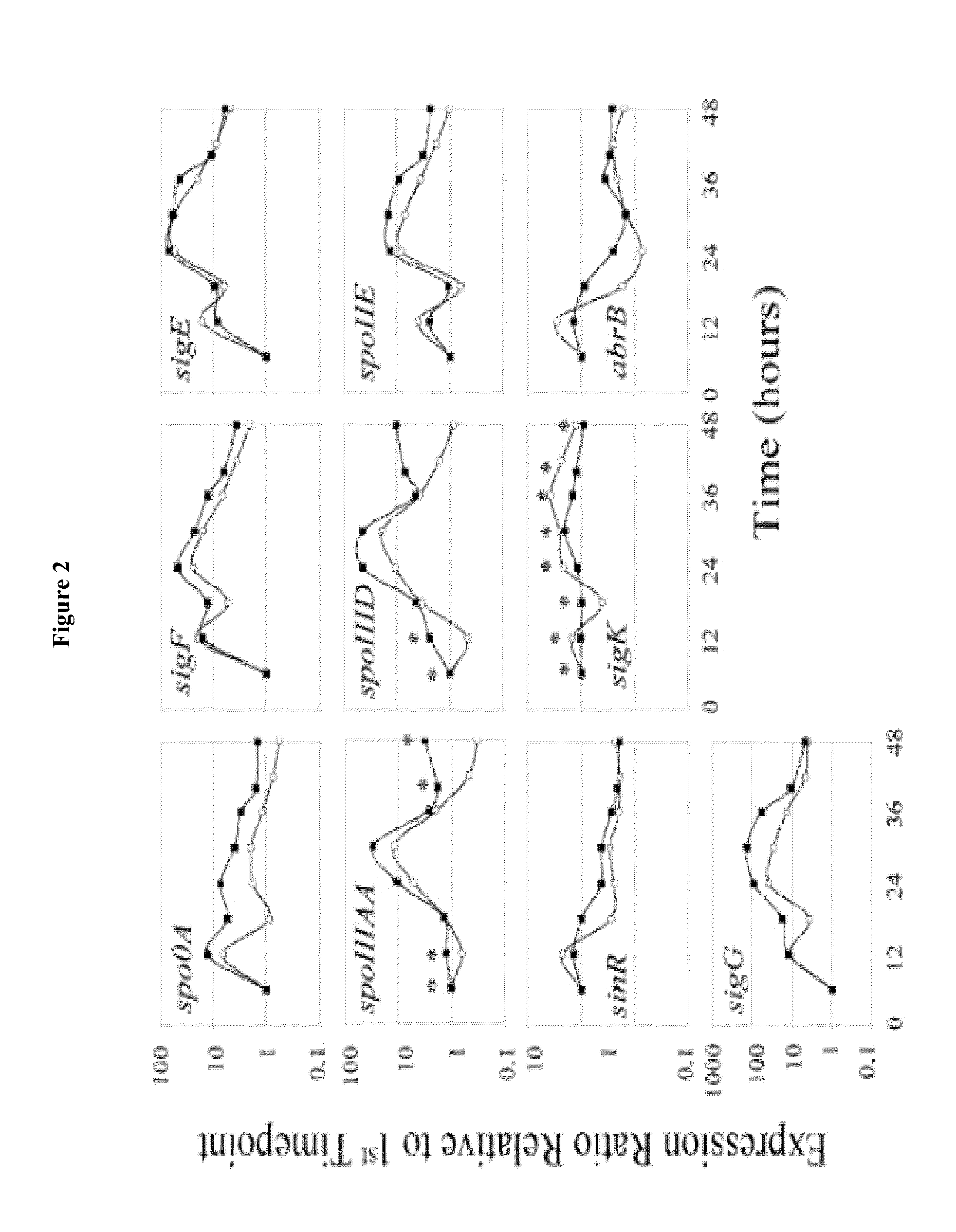 Methods and compositions for generating sporulation deficient bacteria