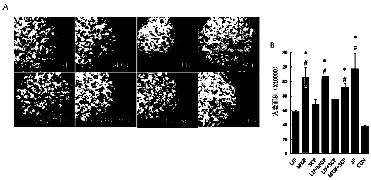 A method for long-term stable culture of chicken embryonic stem cells in vitro