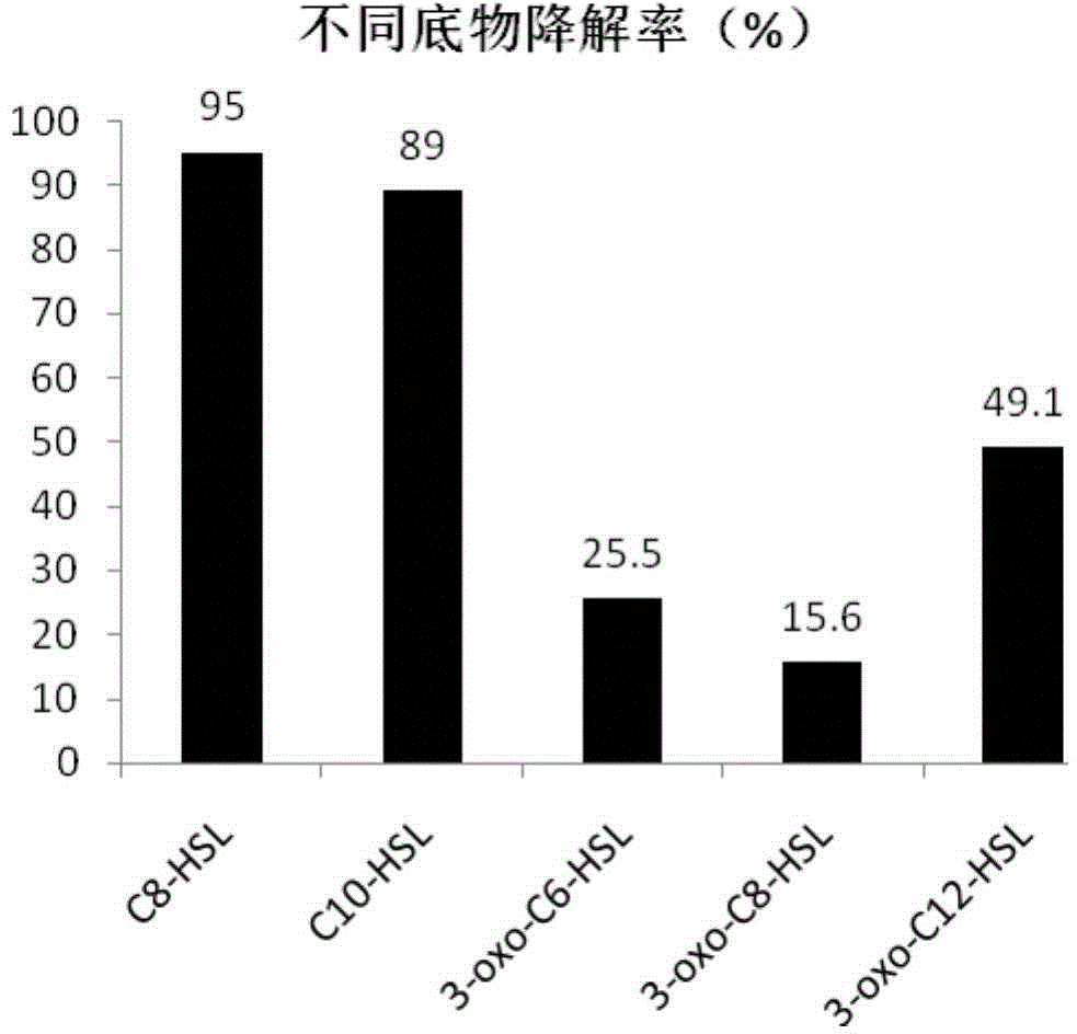 DNA molecule for expressing acyltransferase in pichia pastoris and application thereof