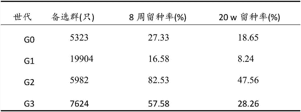 Method of purification selection breeding of Pingwu red chicken