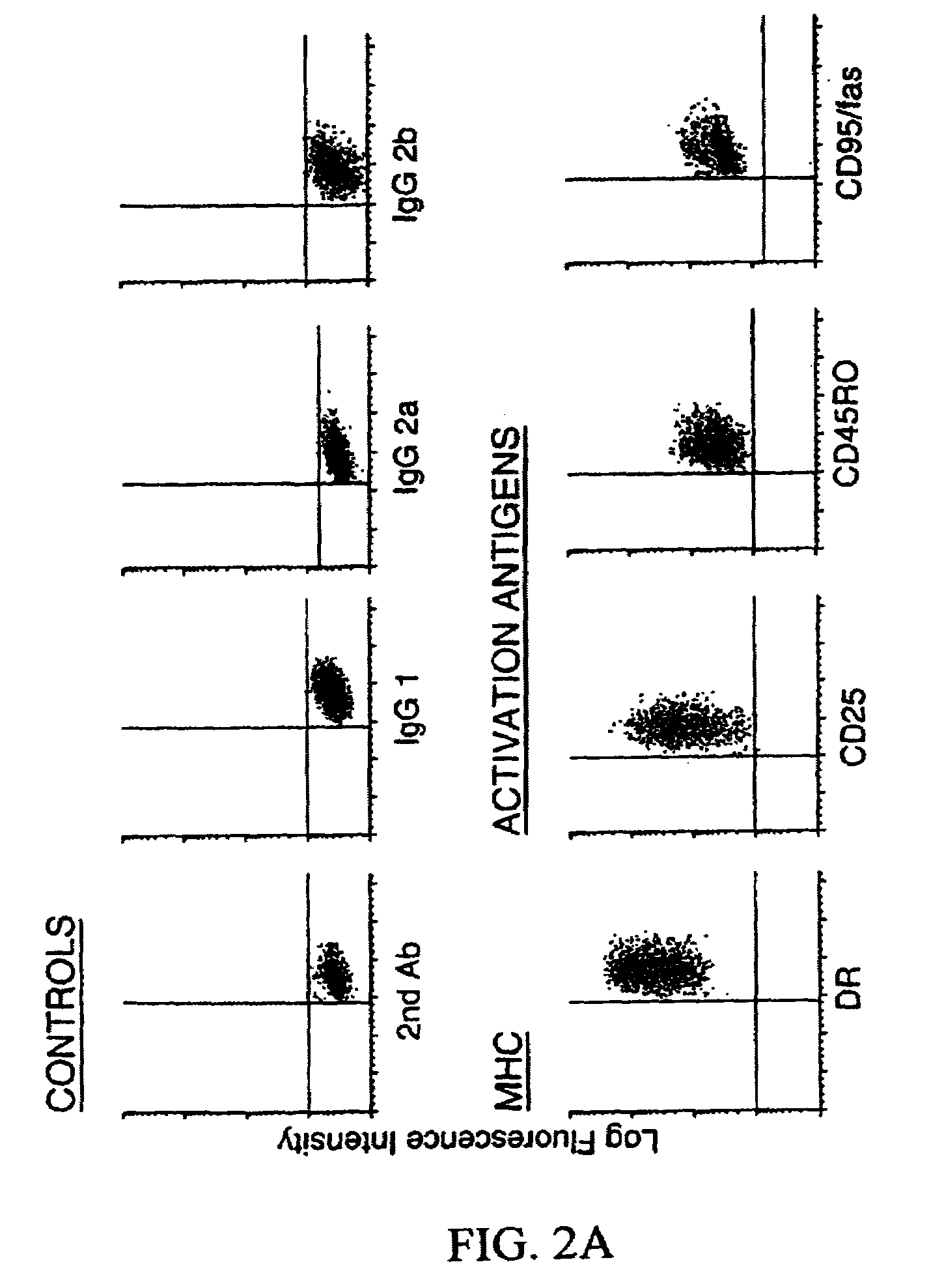 Methods and compositions for obtaining mature dendritic cells