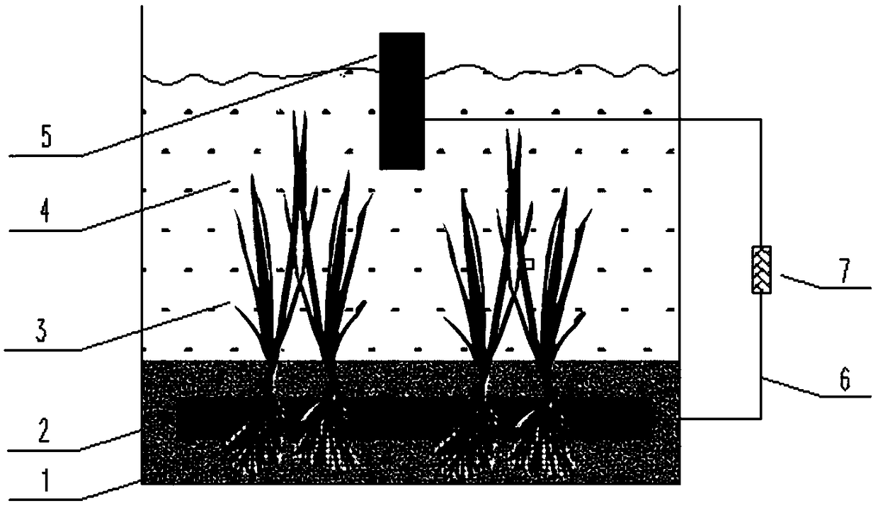 Method and device for utilizing microbial fuel cell-submerged plant to conduct situ-control on phosphorus release of sediment