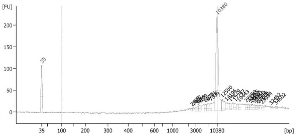 Reagent and kit for rapidly extracting nucleic acid from FFPE sample and application of reagent and kit