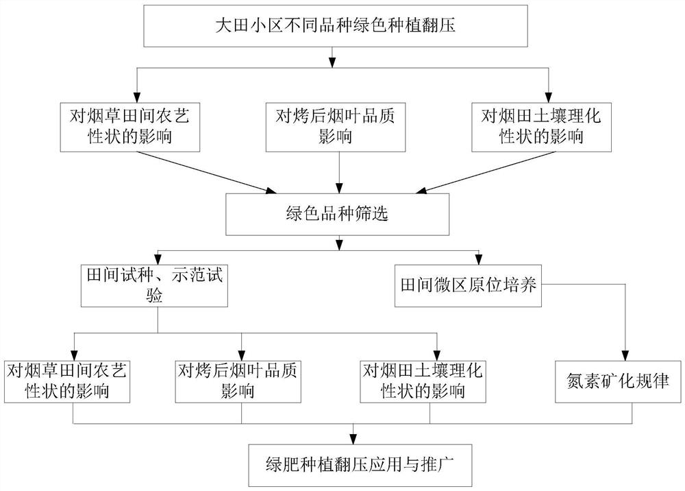 Method for Dongmu No.70 green manure plowing field-returning in northern cold tobacco growing area