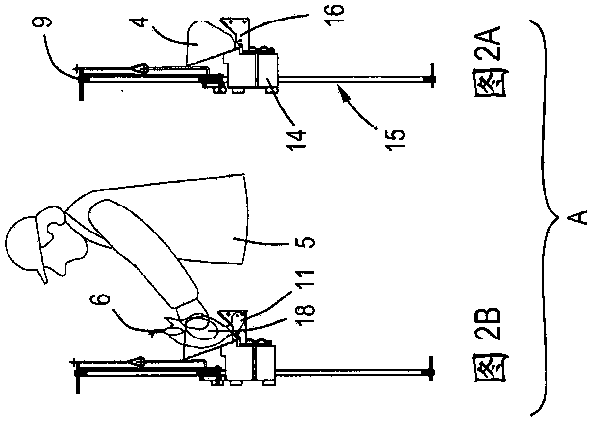 Method and installation for handling poultry