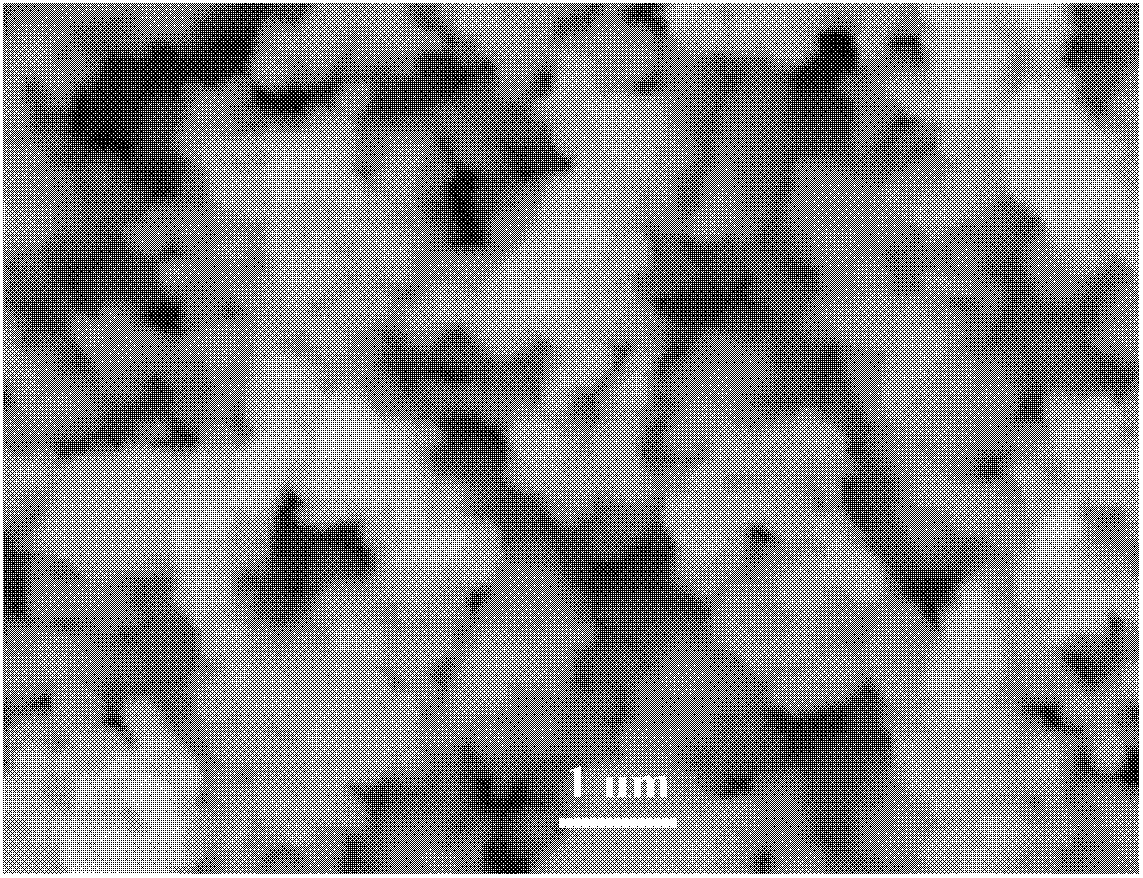 Method for preparing ternary complex anode material (LiNixCoyMn1-x-yO2)