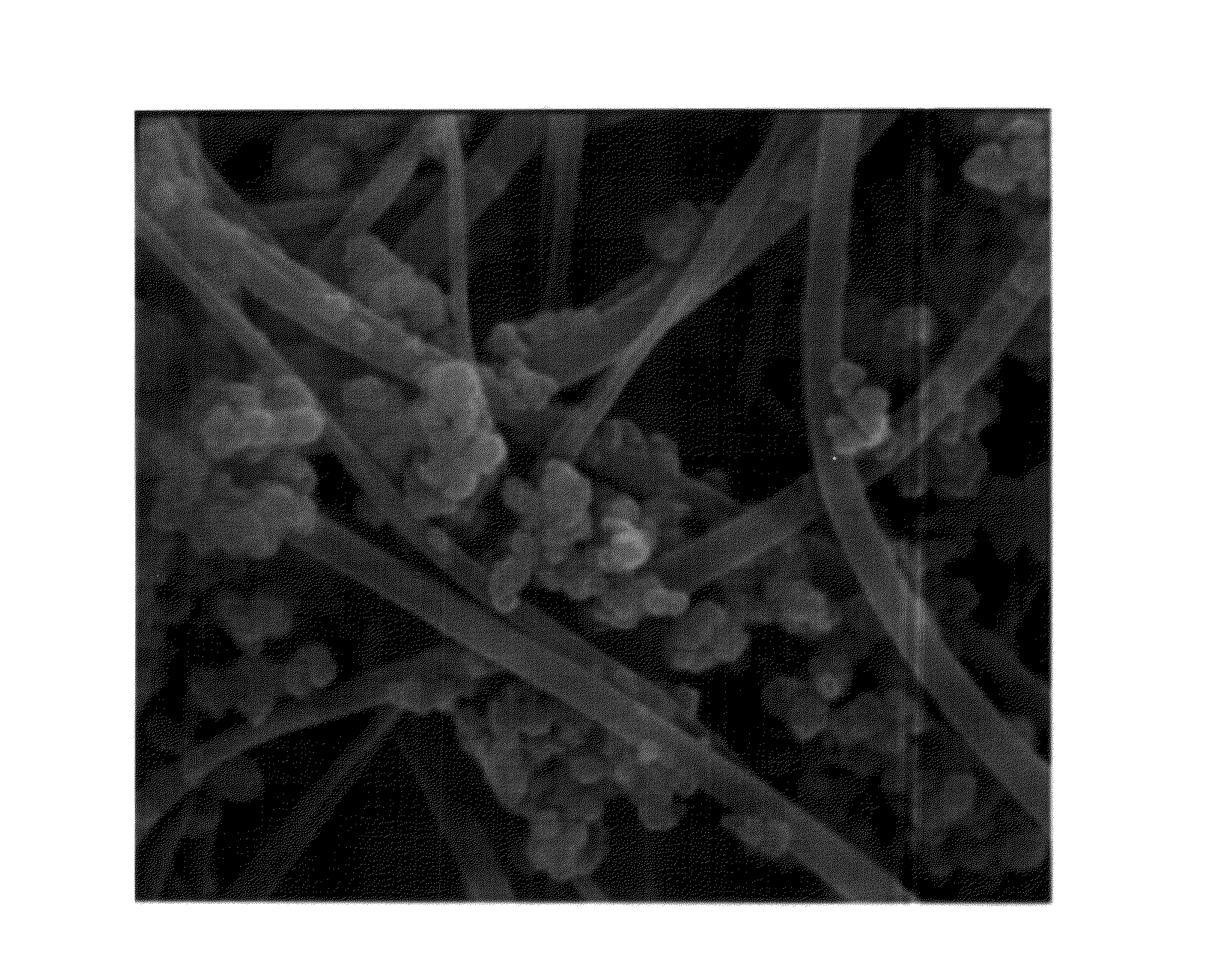 Non-woven polymeric fabric including agglomerates of aluminum hydroxide nano-fibers for filtering water