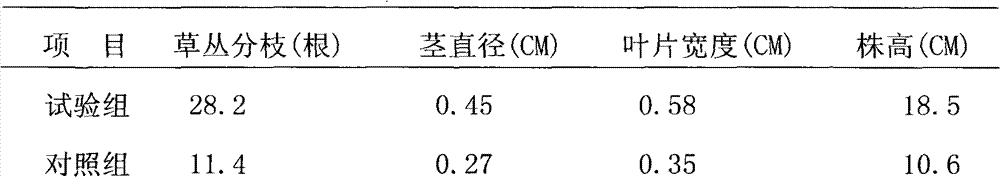 Liquid compound fertilizer for restoration of mining wasteland with municipal domestic sludge and preparation method thereof