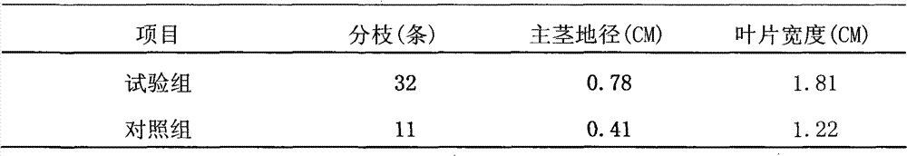 Liquid compound fertilizer for restoration of mining wasteland with municipal domestic sludge and preparation method thereof