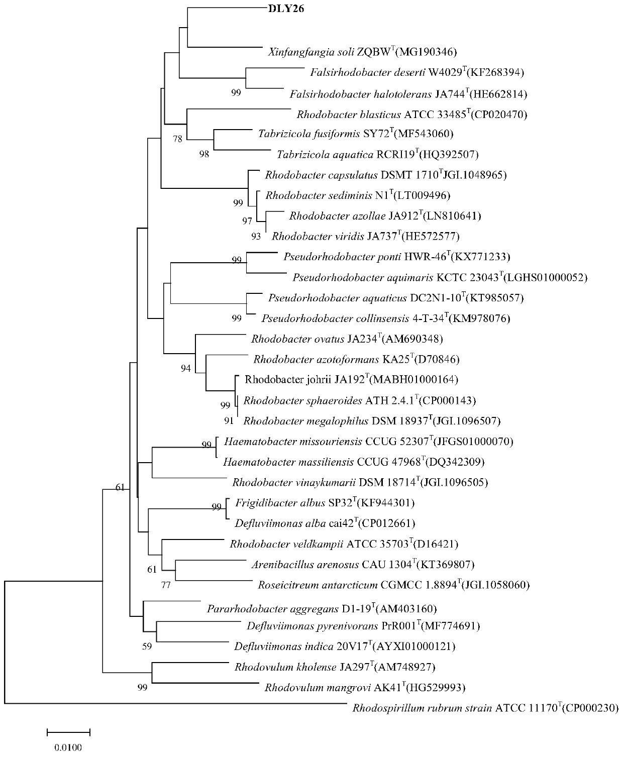 L-asparaginase XiDL and coding gene and application thereof