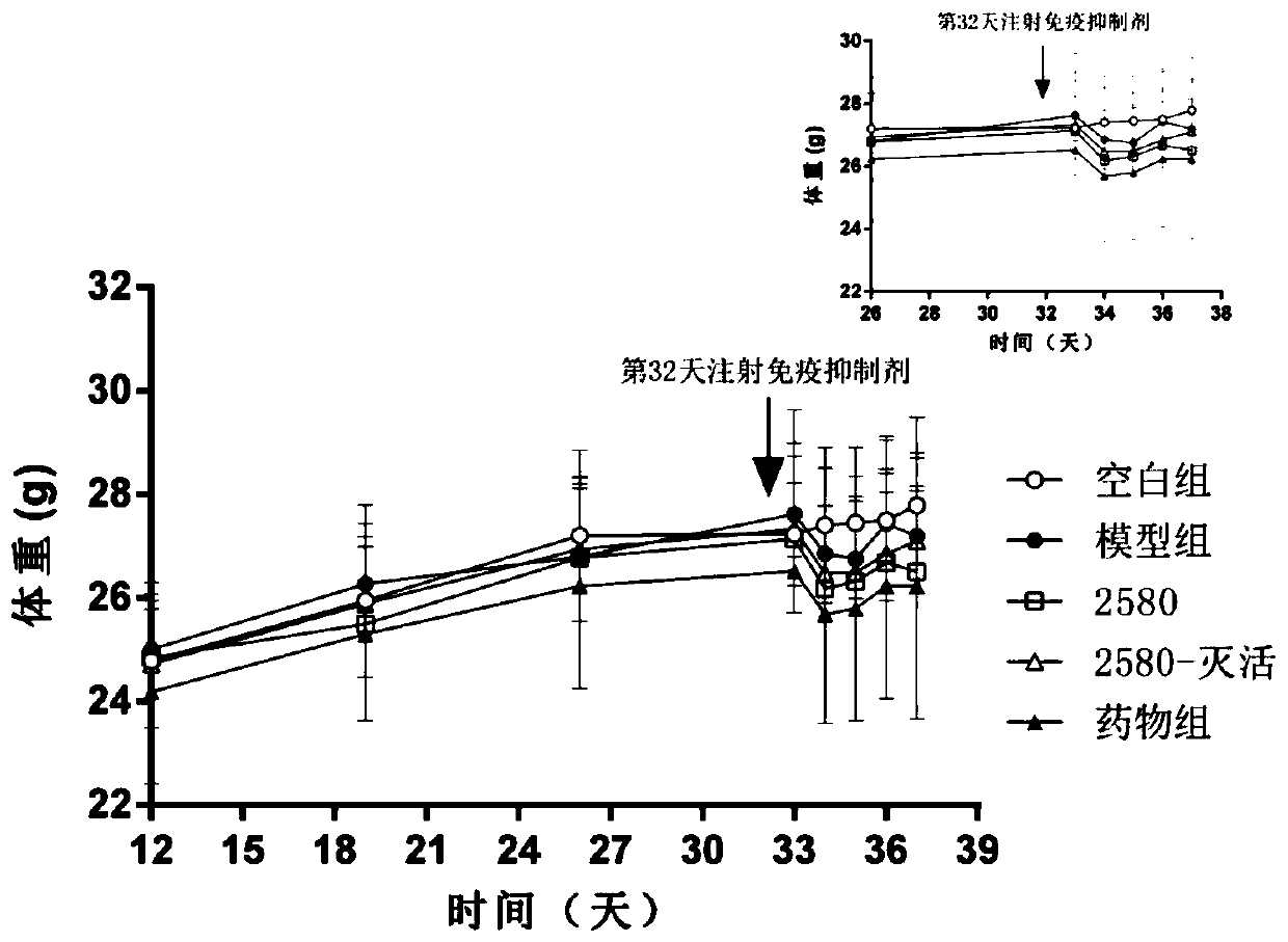 High-adhesion-property Lactobacillus helveticus strain with immunity enhancement function and application thereof