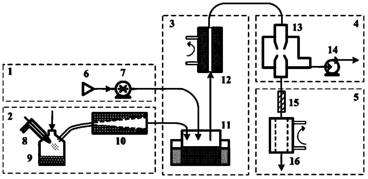 Environmental aerosol direct sampling gathering sample injecting device and quantitative analysis method