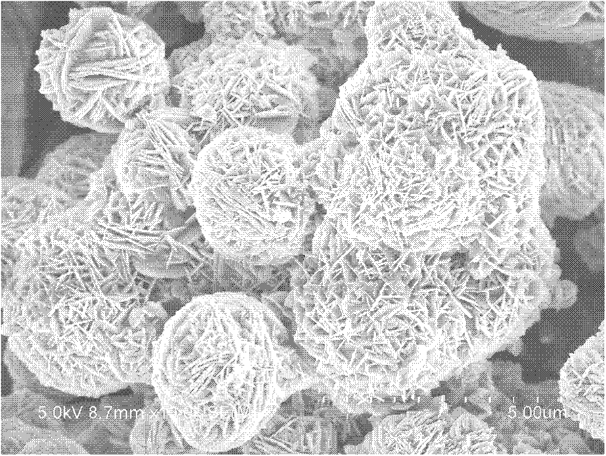 Preparation method of Cu2O-CuO composite oxide