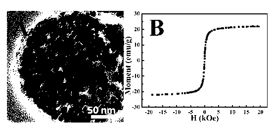 Method for sensitively, simply and conveniently detecting bacteria