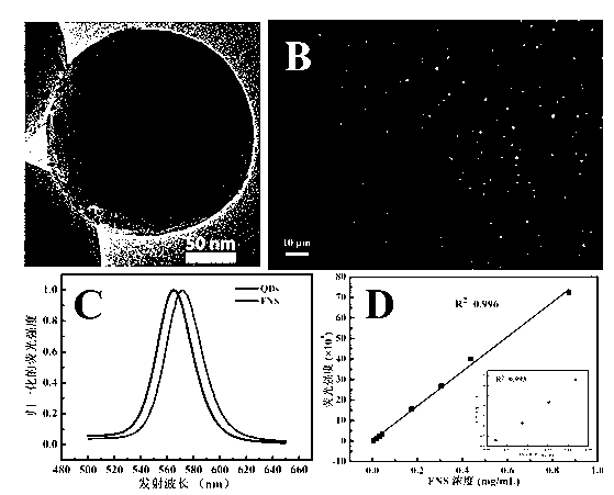 Method for sensitively, simply and conveniently detecting bacteria