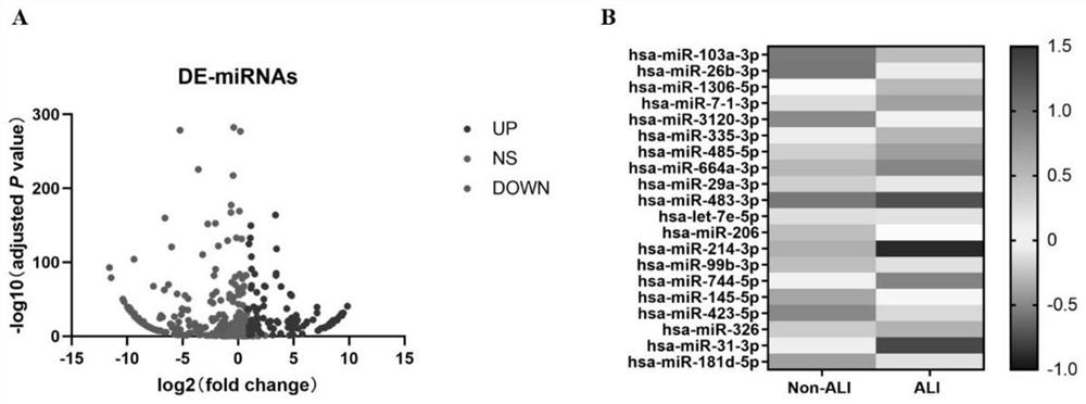 Application of plasma exosome in development of medicine for treating AAAD with lung injury