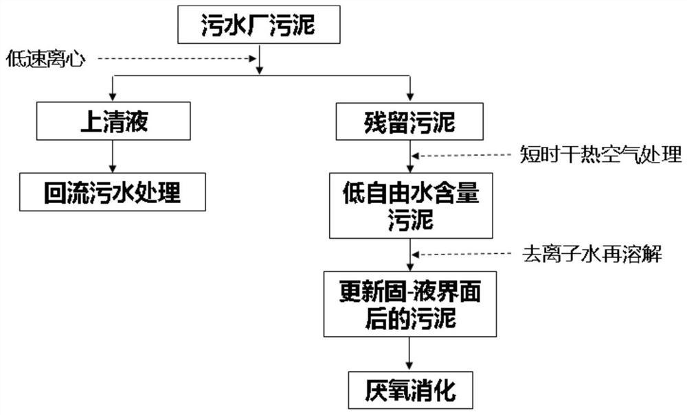 Method for strengthening anaerobic digestion based on sludge solid-liquid interface updating