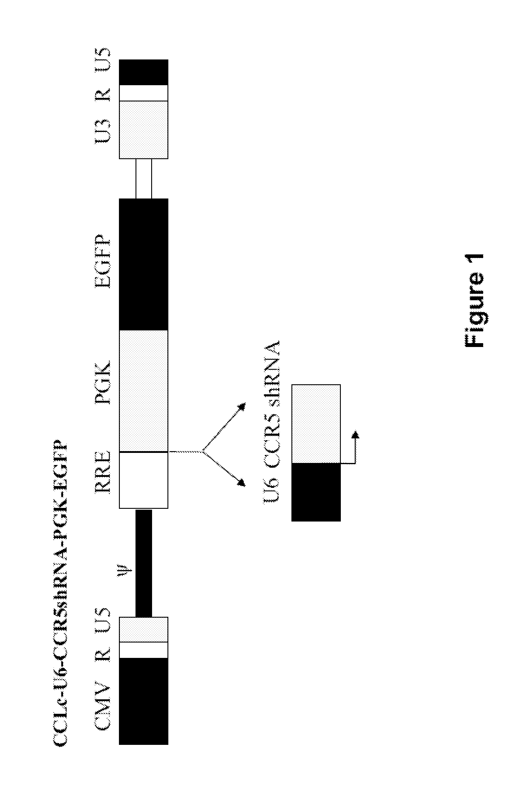 Combination Anti-hiv vectors, targeting vectors, and methods of use