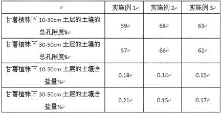 Root salt control method for sweet potato and Kochia scoparia interplanting of saline-alkaline land