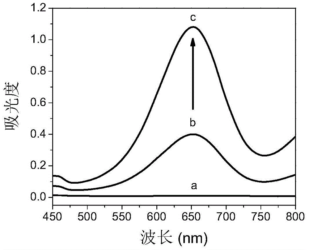 Bovine serum albumin-platinum/bismuth composite nano material mimic peroxidase