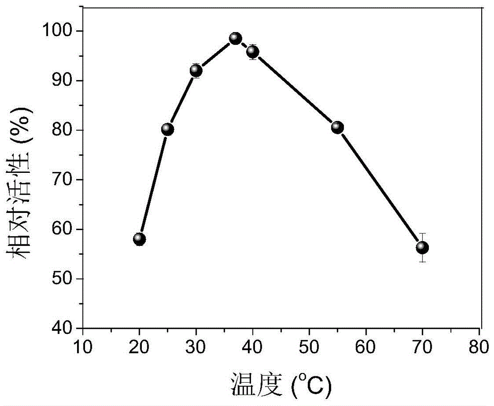 Bovine serum albumin-platinum/bismuth composite nano material mimic peroxidase