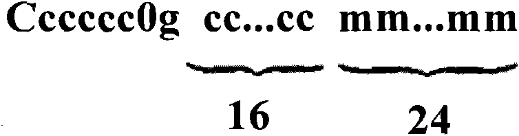 Method for allocating IPv6 address and home gateway