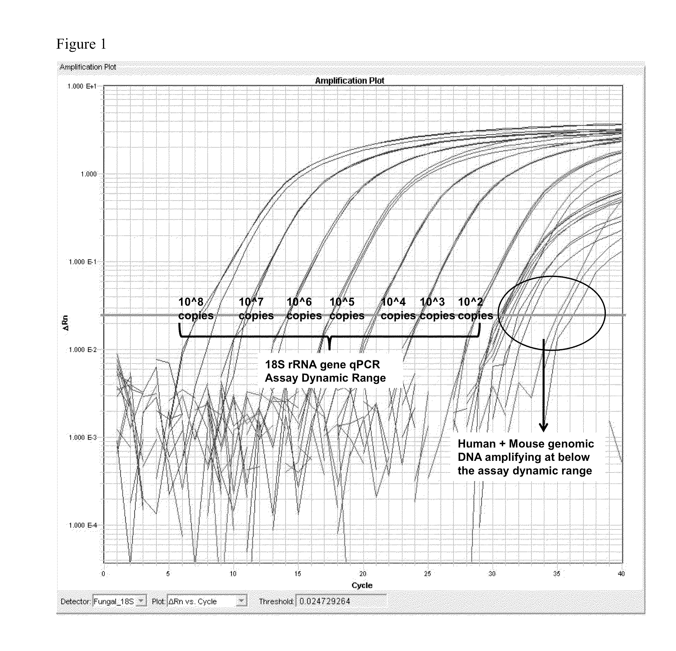 Methods and kits used in the detection of fungus