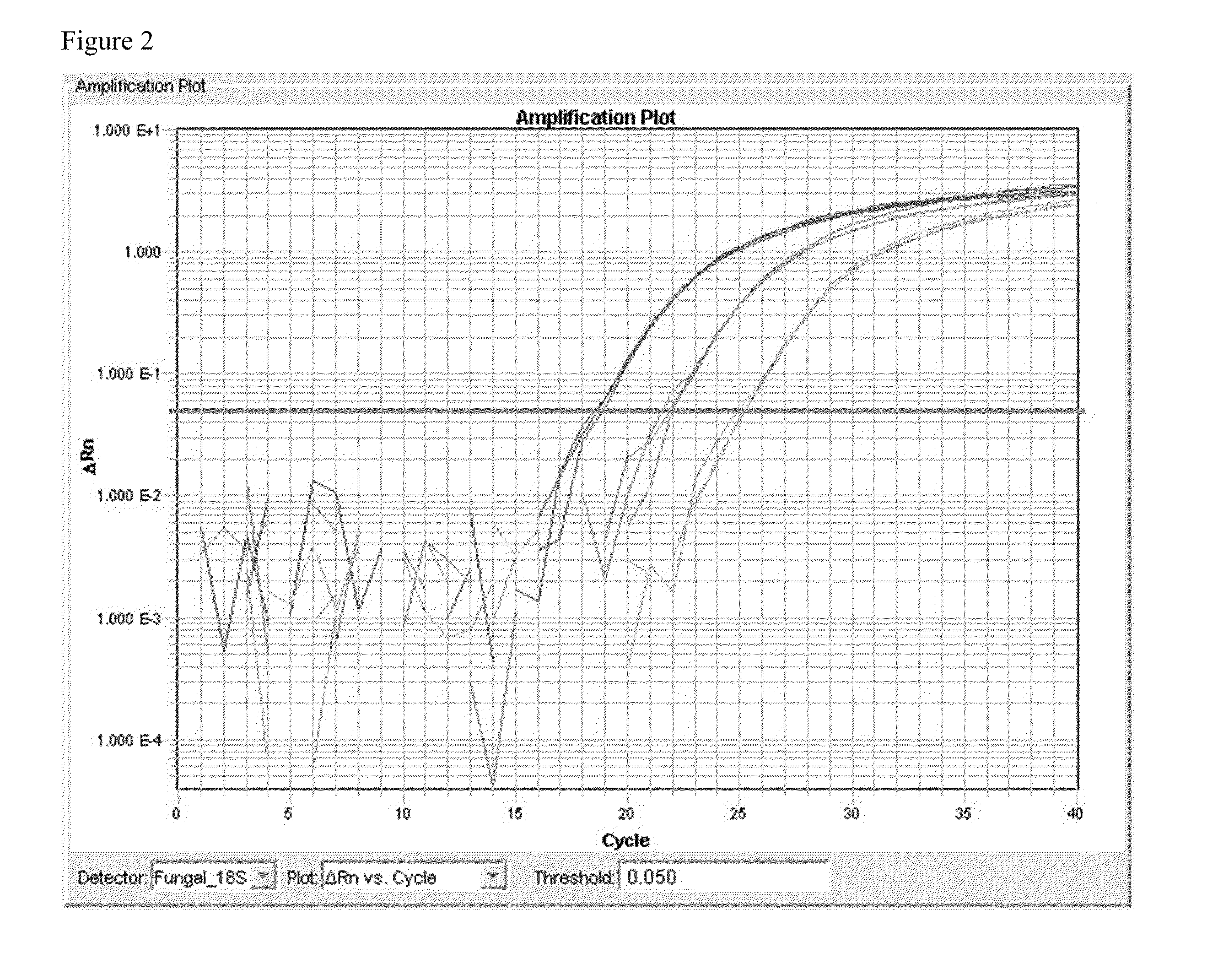 Methods and kits used in the detection of fungus