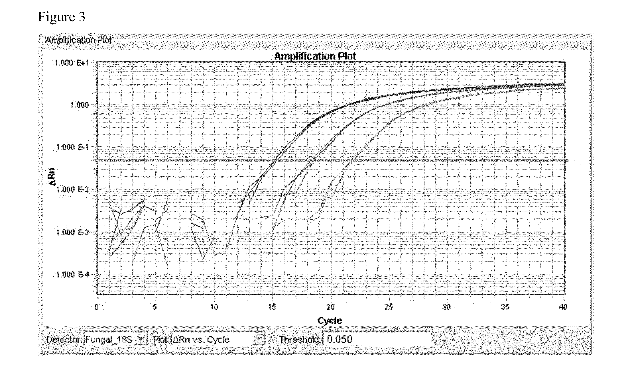 Methods and kits used in the detection of fungus