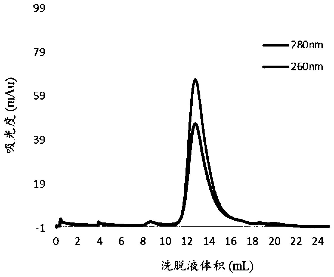 Vaccine based on fusion expression of ferritin and preS1 antigen gene