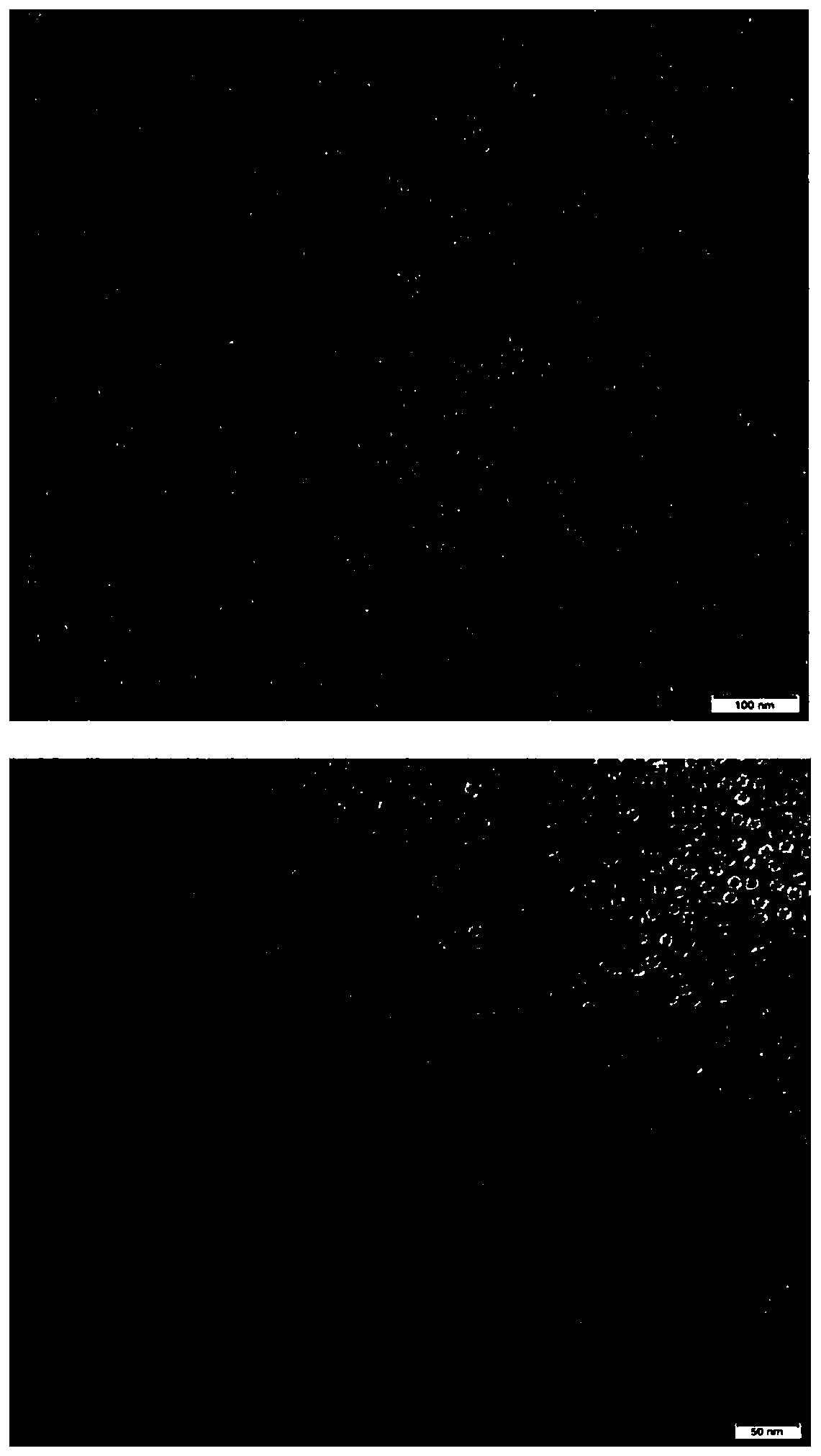 Vaccine based on fusion expression of ferritin and preS1 antigen gene