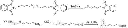 Synthetic method for sulforaphane