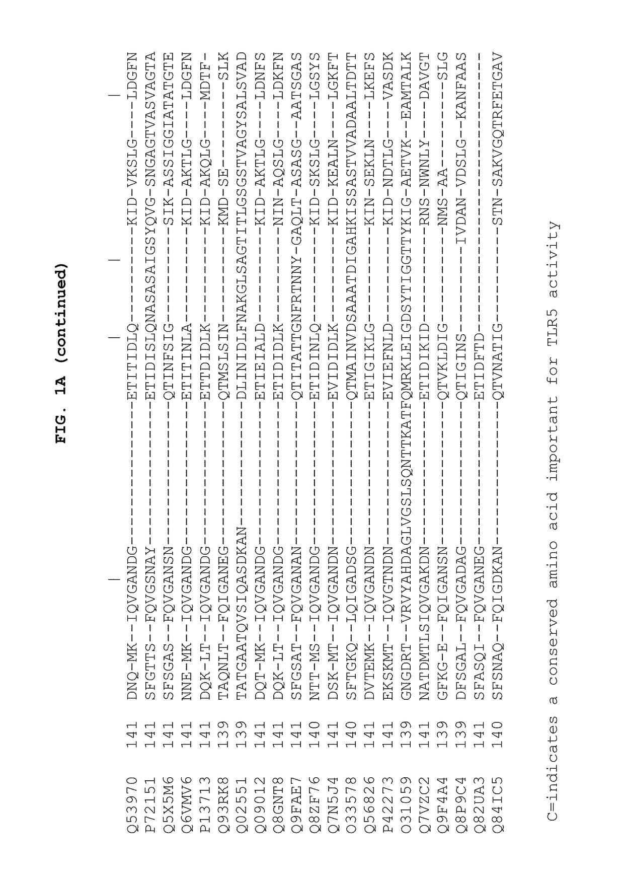 Flagellin compositions and uses