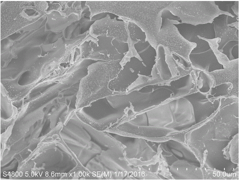 Double-component high-strength hydrogel and preparation method thereof