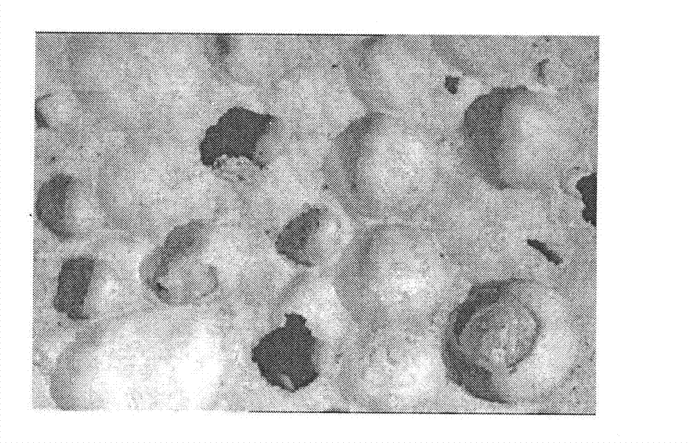 Method for preparing light porous inorganic gelled material product from gel particles