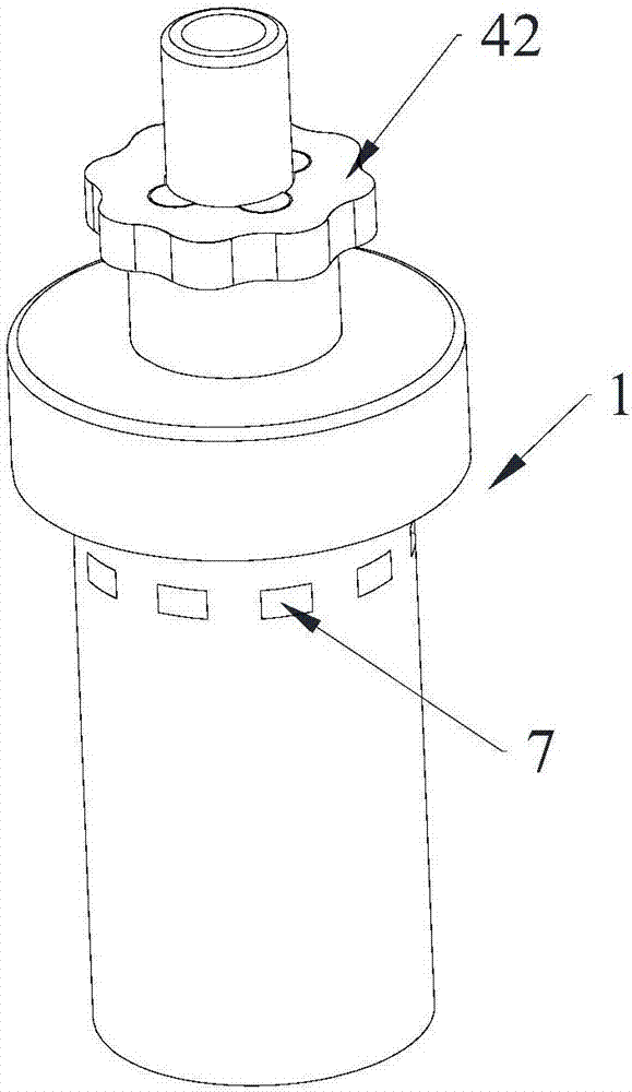 Plug barrel and beverage bottle provided with same