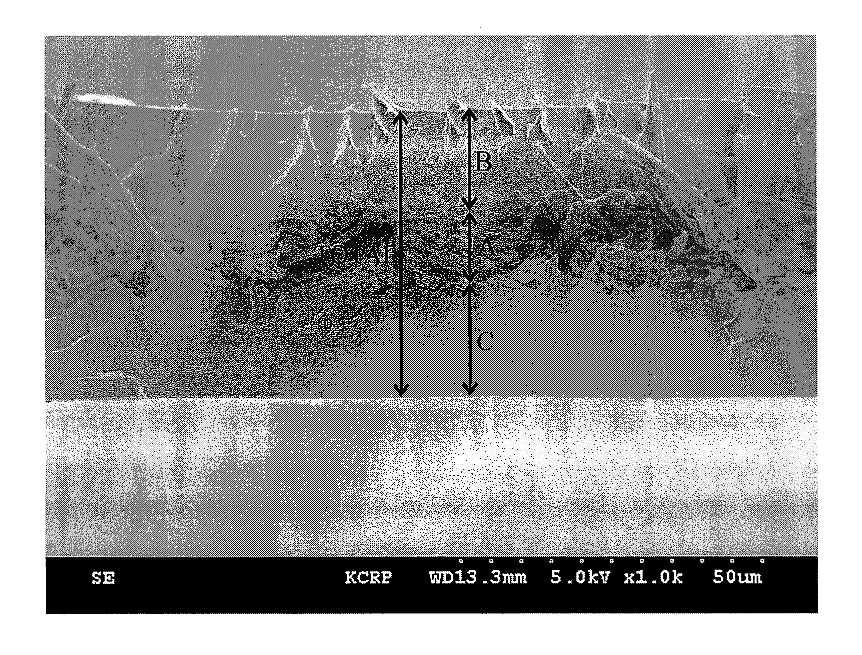 Polymer electrolyte membrane for a fuel cell, and method for preparing same