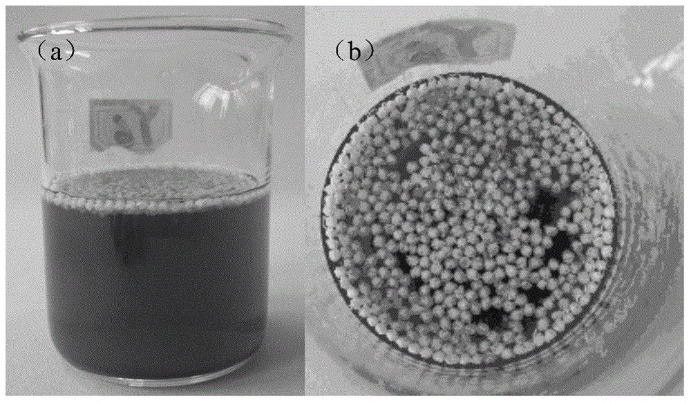 Floating-type sulfite supported microcapsule, preparation method thereof and method for preventing fruit wine hops disease