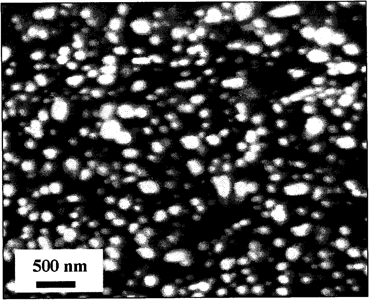 Zinc oxide nano wire/polymer nano composite energy converter and preparation method thereof