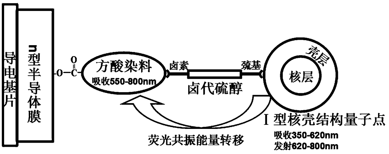 Fluorescence resonance energy transfer photoanode and preparation method thereof