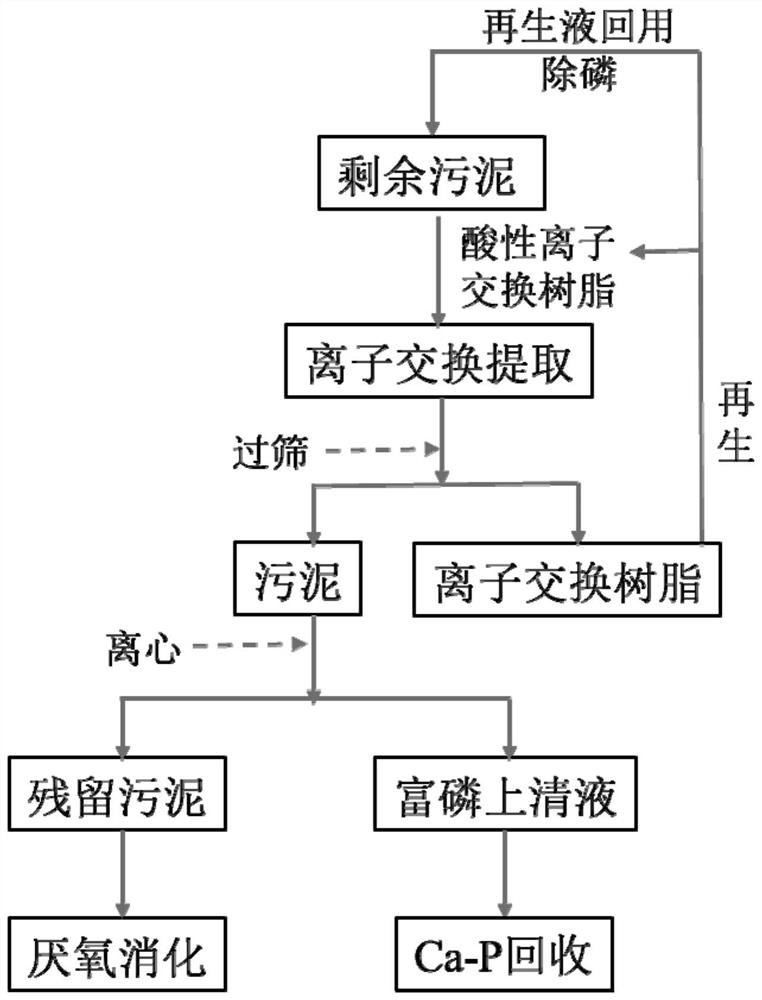 A Targeted Clean Extraction Method for Phosphorus Recovery from Sludge