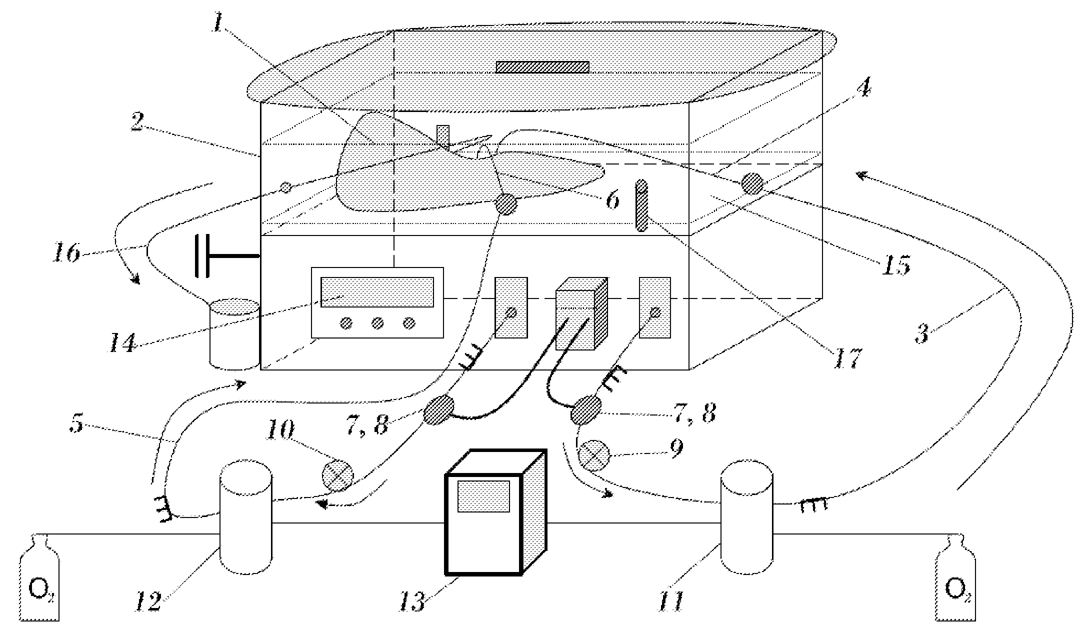 Device for the preservation of a hepatic graft in normothermia