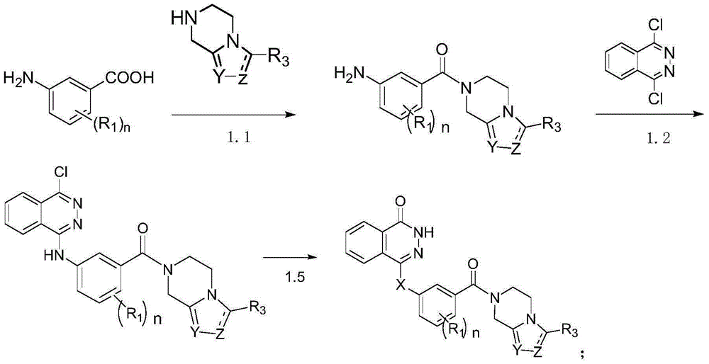 A class of phthalazinone derivatives and uses thereof