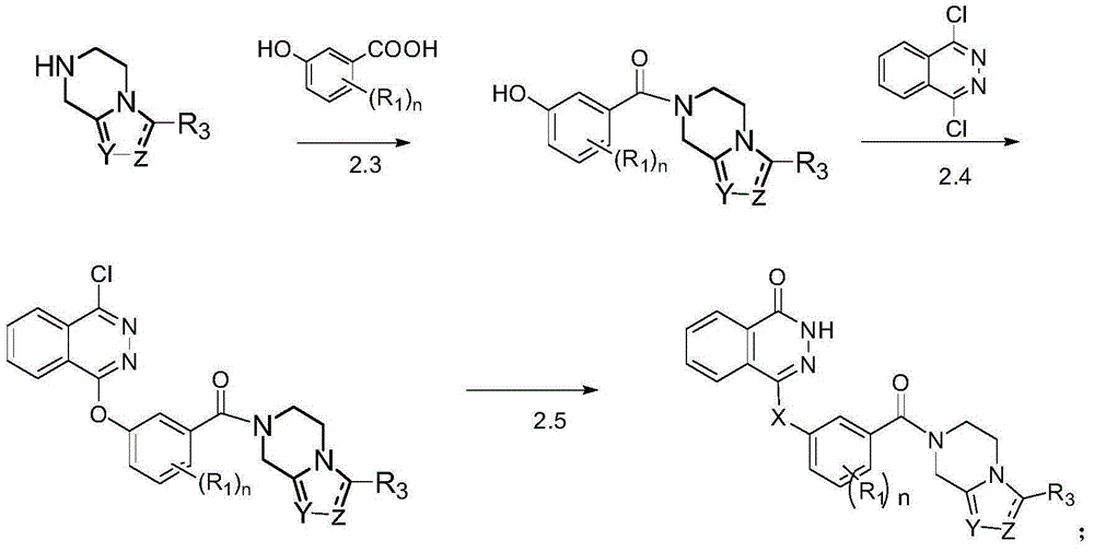 A class of phthalazinone derivatives and uses thereof