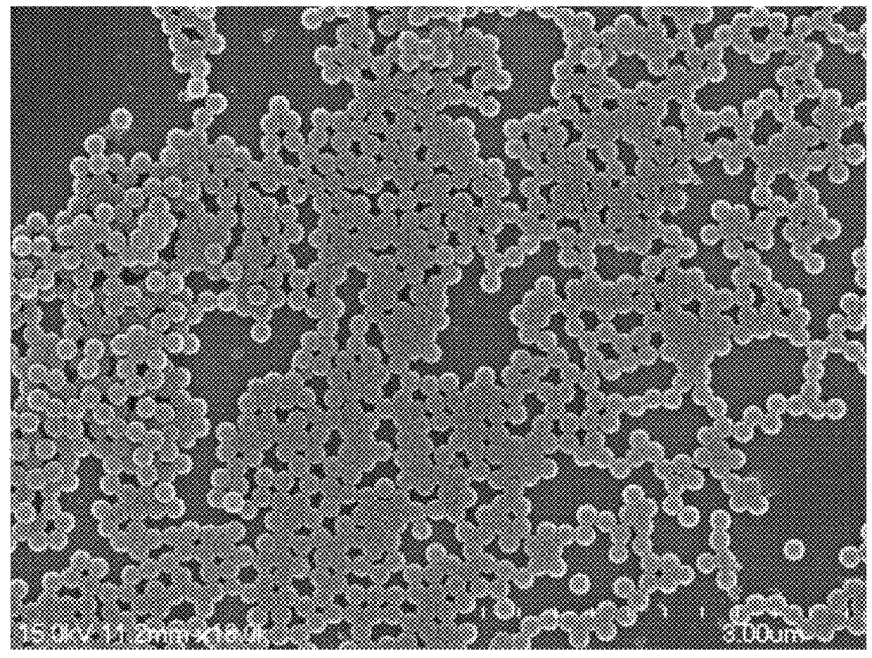 Titanium-dioxide-based double-layer hollow material, preparation method thereof, and application thereof in photocatalytic treatment of hydrogen sulfide